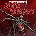 Imagen del vendedor de Black Widows (Tiny Terrors) [Soft Cover ] a la venta por booksXpress