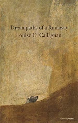 Seller image for Dreampaths of a Runaway [Soft Cover ] for sale by booksXpress
