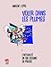 Imagen del vendedor de Voler dans les plumes: L'actualité en 100 dessins de presse [FRENCH LANGUAGE - Hardcover ] a la venta por booksXpress