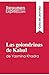 Imagen del vendedor de Las golondrinas de Kabul de Yasmina Khadra (Guía de lectura): Resumen y análisis completo (Spanish Edition) [FRENCH LANGUAGE - Soft Cover ] a la venta por booksXpress