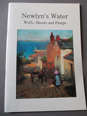 Immagine del venditore per Newlyn's Water: Wells, Shoots and Pumps venduto da The Cornish Bookworm