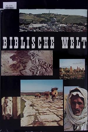 Seller image for Biblische Welt. for sale by Antiquariat Bookfarm