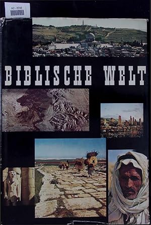 Seller image for Biblische Welt. for sale by Antiquariat Bookfarm