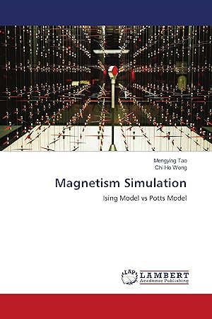Imagen del vendedor de Magnetism Simulation a la venta por moluna