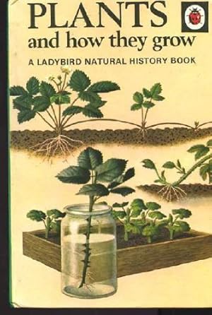 Bild des Verkufers fr Plants and How They Grow (Natural History) by F. E. Newing (1987-06-03) zum Verkauf von WeBuyBooks