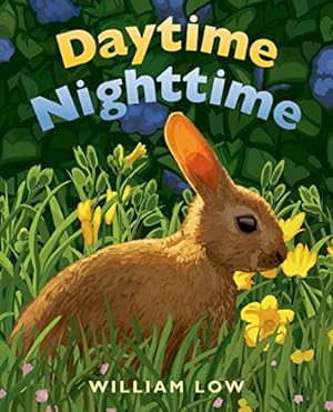 Bild des Verkufers fr Daytime Nighttime zum Verkauf von WeBuyBooks