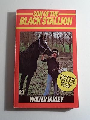 Seller image for Son of the Black Stallion: 3 (Knight Books) for sale by Timbo's Books & Collectables