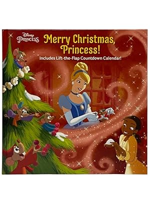 Seller image for Disney Princess Merry Christmas, Princess! for sale by Yesterday's Muse, ABAA, ILAB, IOBA