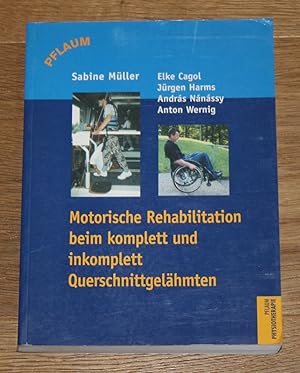 Motorische Rehabilitation beim komplett und imkomplett Querschnittgelähmten.