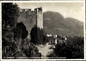 Bild des Verkufers fr Ansichtskarte / Postkarte Meran Merano Sdtirol, Passeggiata Principessa di Piemonte e Polveriera zum Verkauf von akpool GmbH