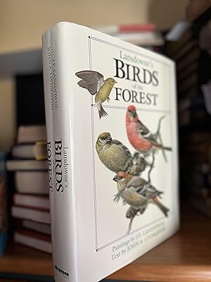 Birds of the Forest