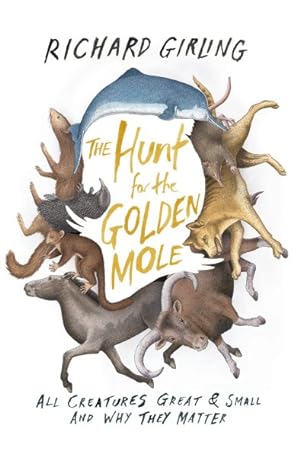 Seller image for Hunt for the Golden Mole : All Creatures Great and Small, and Why They Matter for sale by GreatBookPricesUK