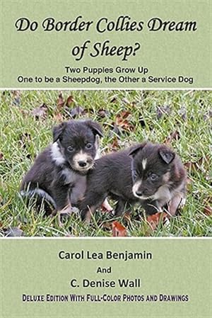 Seller image for Do Border Collies Dream Of Sheep? Full Color Edition for sale by GreatBookPricesUK