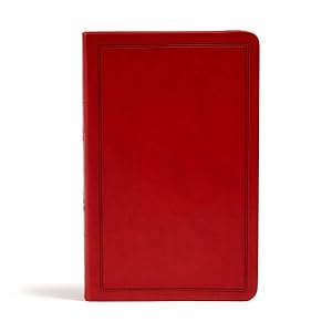 Seller image for Holy Bible : King James Version, Burgundy Leathertouch for sale by GreatBookPrices