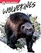 Seller image for Wolverines (The Wild Animals) [Soft Cover ] for sale by booksXpress