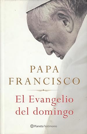 Seller image for EL EVANGELIO DEL DOMINGO for sale by Libreria Rosela