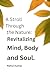 Imagen del vendedor de A Stroll Through the Nature: Revitalizing the Mind, Body, and Soul [Soft Cover ] a la venta por booksXpress