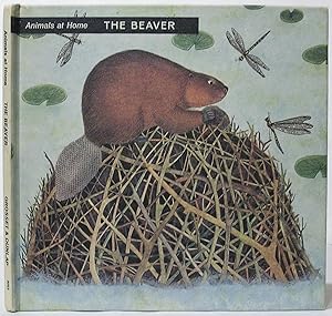 Animals at Home: The Beaver