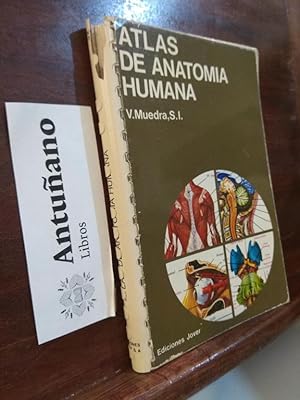 Imagen del vendedor de Atlas de anatomia humana a la venta por Libros Antuano