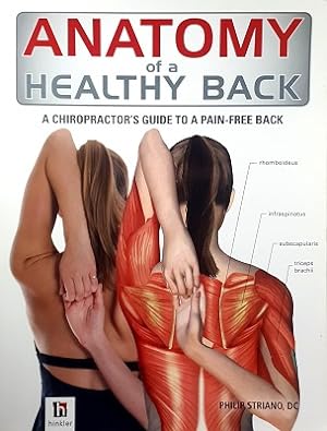 Imagen del vendedor de Anatomy Of A Healthy Back: A Chiropractor's Guide To A Pain Free Back a la venta por Marlowes Books and Music