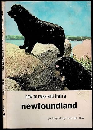 Seller image for How to raise and Train a Newfoundland for sale by The Book Collector, Inc. ABAA, ILAB