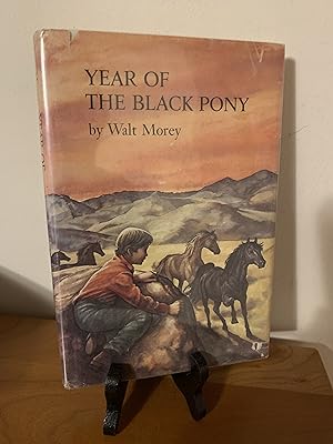 Year Of The Black Pony