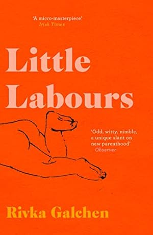 Imagen del vendedor de Little Labours a la venta por WeBuyBooks