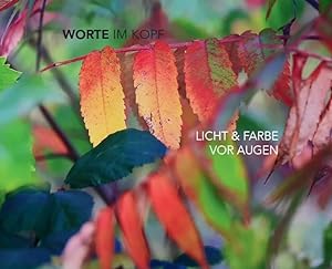 Seller image for Worte im Kopf - Licht & Farbe vor Augen for sale by moluna
