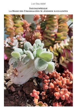 Seller image for La Magie des Crassulaces et lgendes succulentes : Succulentesque for sale by AHA-BUCH GmbH