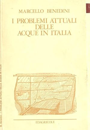 Seller image for I problemi attuali delle acque in Italia for sale by Biblioteca di Babele