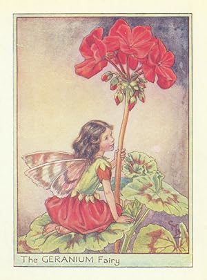 The Geranium Fairy