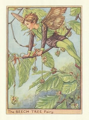 The Beech Tree Fairy