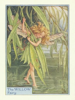 The Willow Fairy