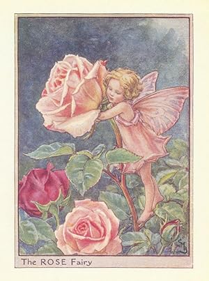 The Rose Fairy