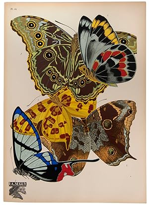 Bild des Verkufers fr Papillons. zum Verkauf von Shapero Rare Books
