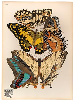 Bild des Verkufers fr Papillons. zum Verkauf von Shapero Rare Books