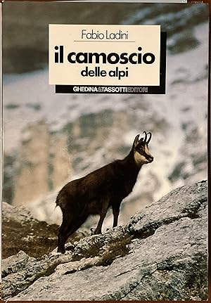 Il Camoscio delle Alpi