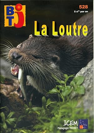 Bibliothèque de travail junior N° 528 : La loutre.