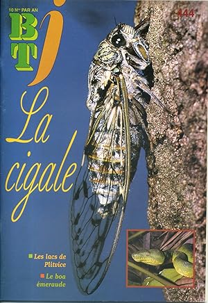 Seller image for Bibliothque de travail junior N 444 : La cigale. for sale by Librairie Et Ctera (et caetera) - Sophie Rosire