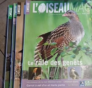 L'Oiseau Magazine. Année 2012 complète. Numéros 106 à 109. Revue de la ligue française pour la pr...