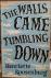 Seller image for The walls came tumbling down for sale by Antiquariaat Looijestijn