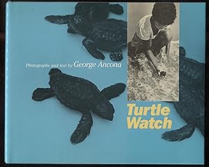 Turtle Watch