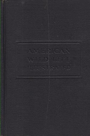 Seller image for AMERICAN WILD LIFE ILLUSTRATED Compiled by the Writers' Program of the Work Projects Administration in the City of New York for sale by Complete Traveller Antiquarian Bookstore