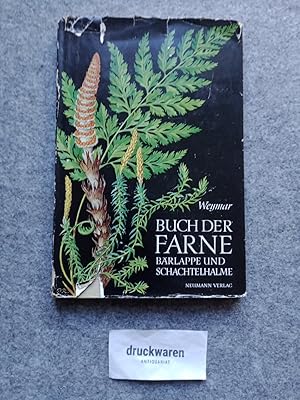 Imagen del vendedor de Buch der Farne, Brlappe und Schachtelhalme : Entwicklungsgeschichte und Bestimmung, Standort und Bedeutung der in Deutschland wildwachsenden Farnpflanzen. Mit 66 Abb. nach der Natur von Paul Richter. a la venta por Druckwaren Antiquariat