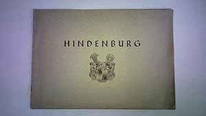 Seller image for Hindenburg for sale by Celler Versandantiquariat