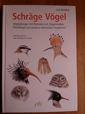 Imagen del vendedor de Schrge Vgel: Begegnungen mit Rohrdommel, Ziegenmelker, Wiedehopf und anderen heimischen Vogelarten. a la venta por Antiquariat Seitenwechsel