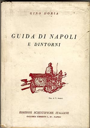 Guida di Napoli e dintorni
