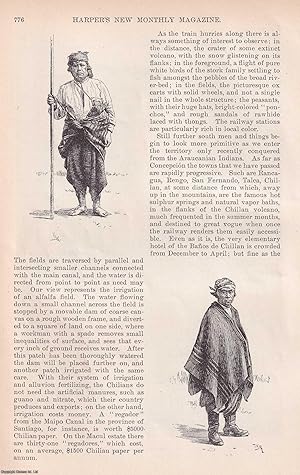 Image du vendeur pour Agricultural Chile. An account of the countryside, its economy, people and customs, etc. An original article from the Harper's Monthly Magazine, 1890. mis en vente par Cosmo Books