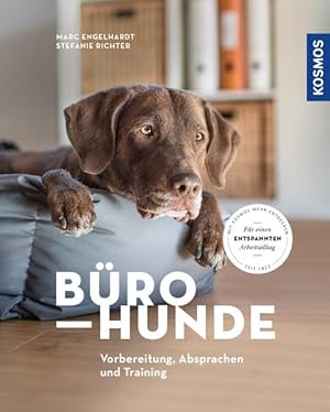 Bürohunde. Vorbereitung, Absprachen und Training.