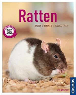 Ratten. Halten, pflegen, beschäftigen.